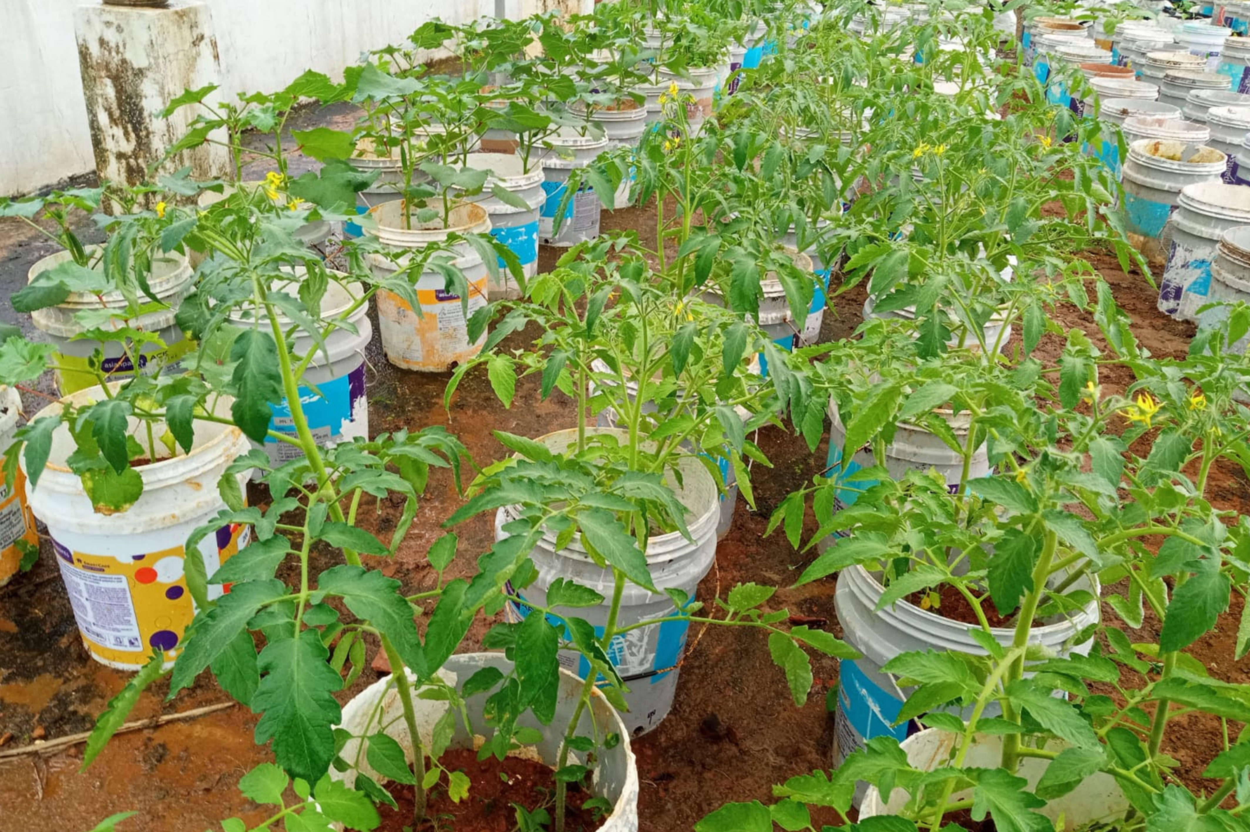 Articles Published by Dr. Arun Thomas 